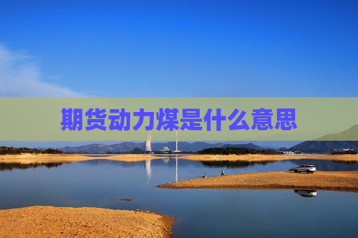 期货动力煤是什么意思