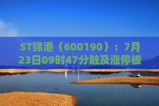 ST锦港（600190）：7月23日09时47分触及涨停板