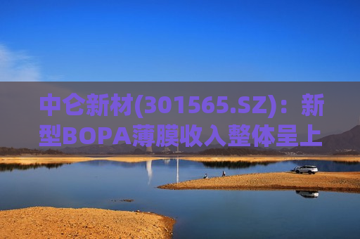 中仑新材(301565.SZ)：新型BOPA薄膜收入整体呈上升趋势