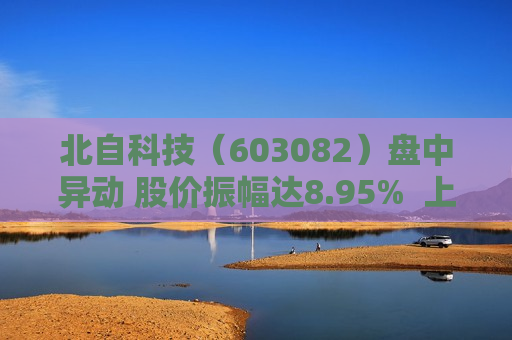 北自科技（603082）盘中异动 股价振幅达8.95%  上涨6.55%（07-17）