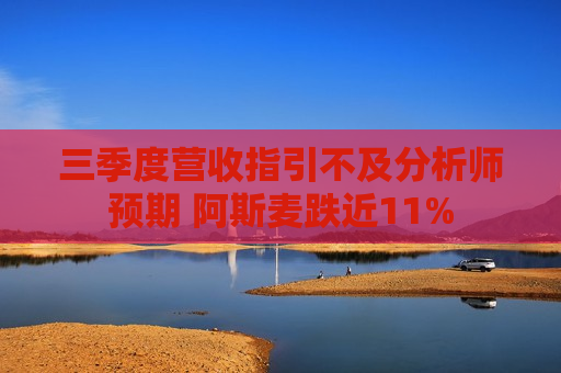 三季度营收指引不及分析师预期 阿斯麦跌近11%