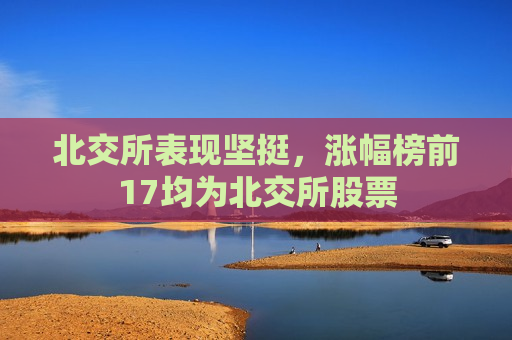 北交所表现坚挺，涨幅榜前17均为北交所股票