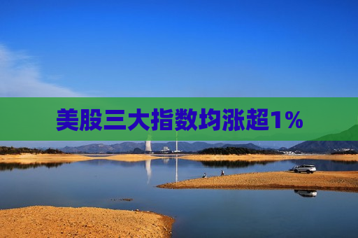 美股三大指数均涨超1%  第1张