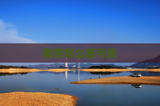 期货怎么看亏损  第1张