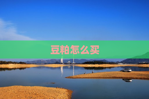 豆粕怎么买  第1张