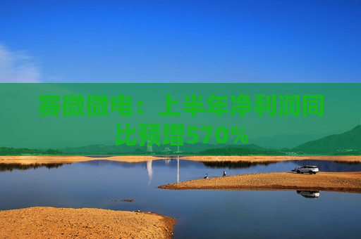 赛微微电：上半年净利润同比预增570%  第1张