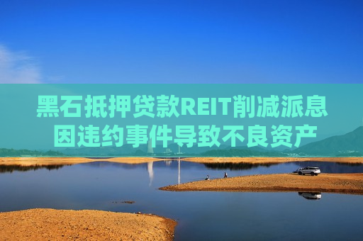 黑石抵押贷款REIT削减派息 因违约事件导致不良资产增多  第1张