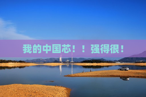 我的中国芯！！强得很！