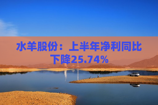 水羊股份：上半年净利同比下降25.74%  第1张