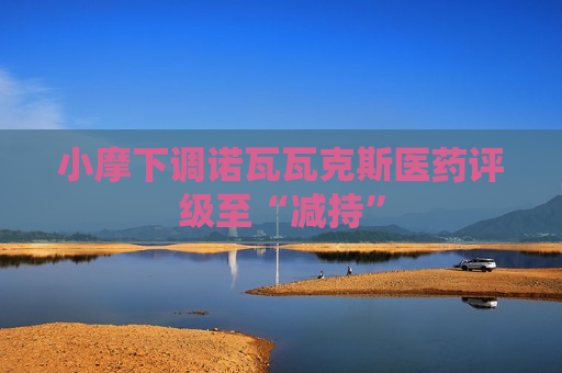 小摩下调诺瓦瓦克斯医药评级至“减持”