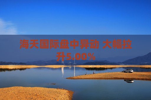 海天国际盘中异动 大幅拉升5.00%