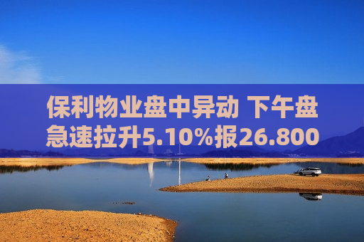 保利物业盘中异动 下午盘急速拉升5.10%报26.800港元  第1张