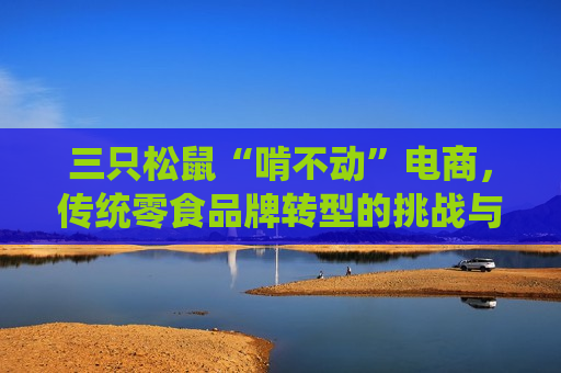 三只松鼠“啃不动”电商，传统零食品牌转型的挑战与机遇，传统零食品牌转型电商，三只松鼠面临的挑战与机遇，三只松鼠转型电商面临挑战与机遇，传统零食品牌转型的探路之旅