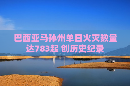 巴西亚马孙州单日火灾数量达783起 创历史纪录  第1张