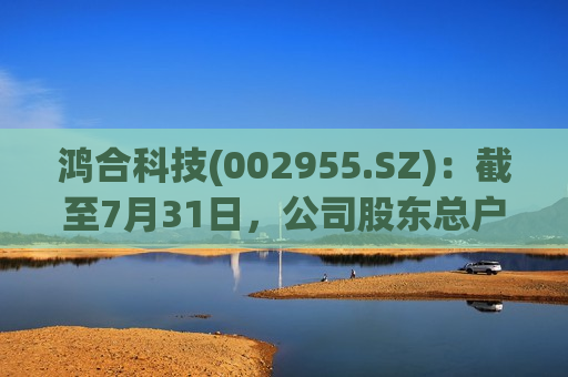 鸿合科技(002955.SZ)：截至7月31日，公司股东总户数为15728户  第1张