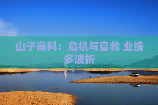 山子高科：危机与自救 业绩多波折  第1张