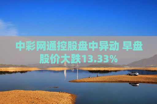 中彩网通控股盘中异动 早盘股价大跌13.33%  第1张