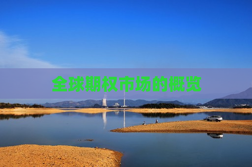 全球期权市场的概览