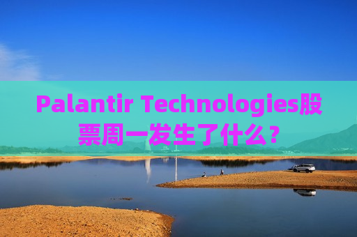 Palantir Technologies股票周一发生了什么？  第1张