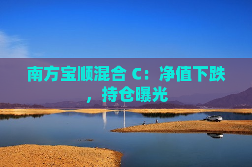 南方宝顺混合 C：净值下跌，持仓曝光