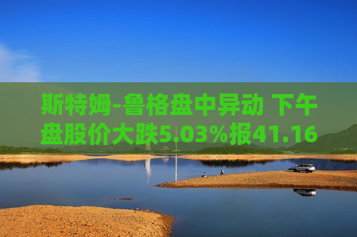 斯特姆-鲁格盘中异动 下午盘股价大跌5.03%报41.16美元