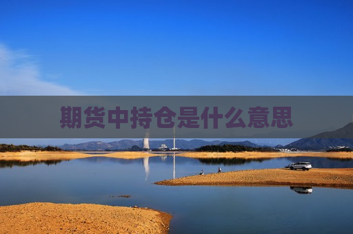 期货中持仓是什么意思  第1张