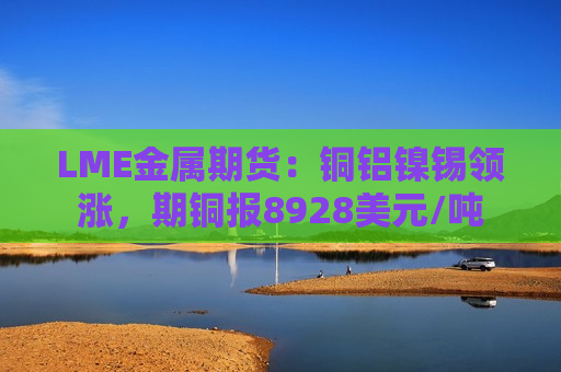 LME金属期货：铜铝镍锡领涨，期铜报8928美元/吨  第1张