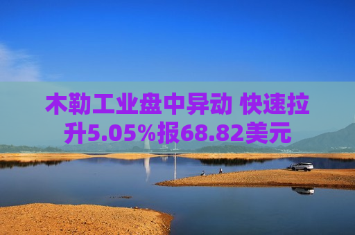 木勒工业盘中异动 快速拉升5.05%报68.82美元  第1张