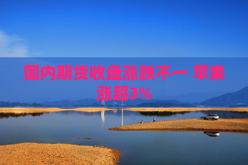 国内期货收盘涨跌不一 苹果涨超3%  第1张