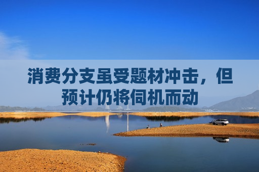 消费分支虽受题材冲击，但预计仍将伺机而动