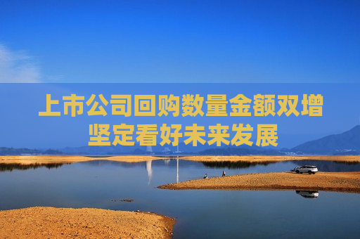 上市公司回购数量金额双增 坚定看好未来发展