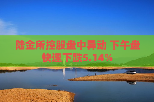 陆金所控股盘中异动 下午盘快速下跌5.14%