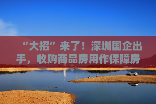 “大招”来了！深圳国企出手，收购商品房用作保障房！专家解读