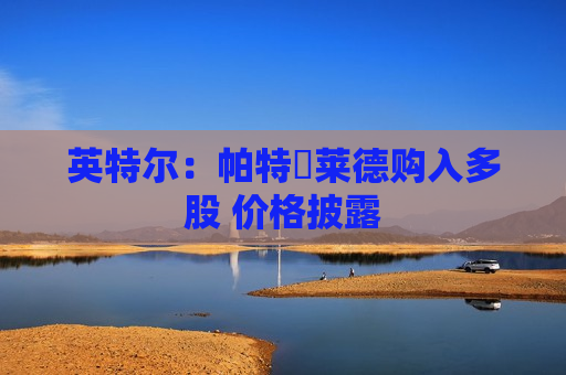 英特尔：帕特・莱德购入多股 价格披露  第1张