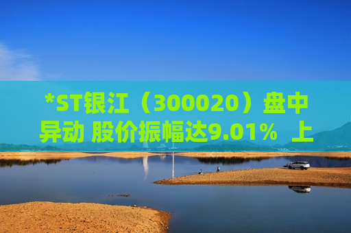 *ST银江（300020）盘中异动 股价振幅达9.01%  上涨7.21%（08-08） 第1张