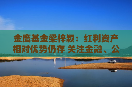 金鹰基金梁梓颖：红利资产相对优势仍存 关注金融、公用事业类方向  第1张