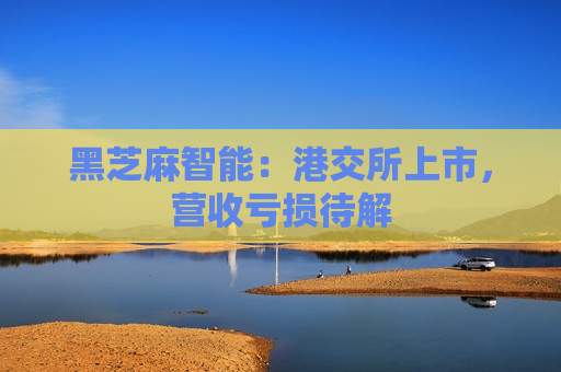 黑芝麻智能:港交所上市,营收亏损待解 第1张 黑芝麻智能:港交所上市,营收亏损待解 第1张