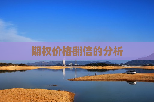 期权价格翻倍的分析  第1张