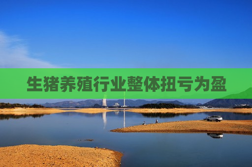生猪养殖行业整体扭亏为盈