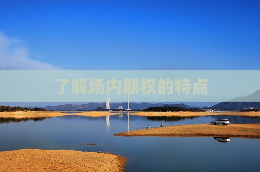 了解场内期权的特点  第1张