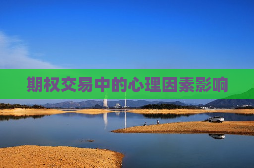 期权交易中的心理因素影响  第1张