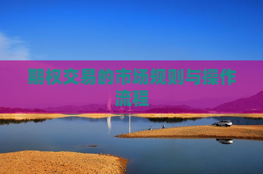 期权交易的市场规则与操作流程  第1张