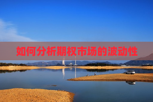 如何分析期权市场的波动性