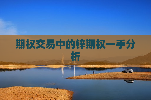 期权交易中的锌期权一手分析