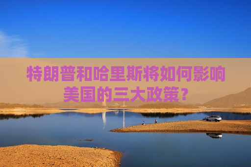 特朗普和哈里斯将如何影响美国的三大政策？
