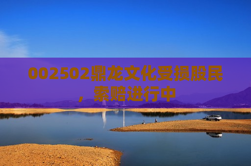 002502鼎龙文化受损股民，索赔进行中