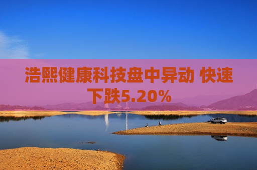 浩熙健康科技盘中异动 快速下跌5.20%