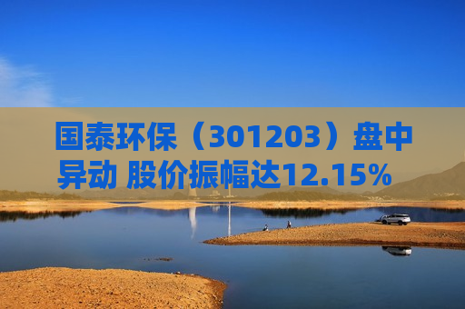 国泰环保（301203）盘中异动 股价振幅达12.15%  上涨6.06%（08-13）
