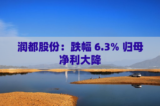 润都股份：跌幅 6.3% 归母净利大降  第1张