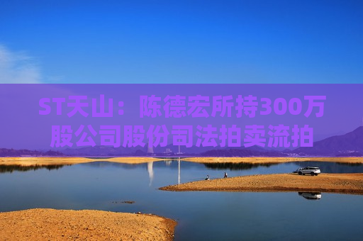 ST天山：陈德宏所持300万股公司股份司法拍卖流拍  第1张